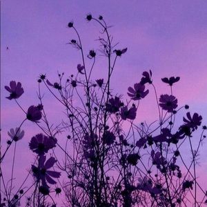 Meet your Posher, Kaitlynn